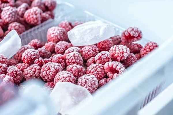 تصویر 2 از خرید میوه خشک یخ زده + قیمت عالی باکیفیت